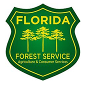 Florida Forest Service Logo