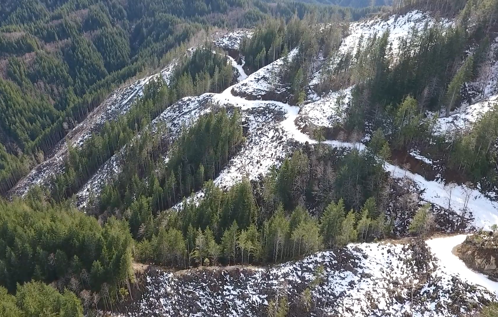 Using Drone To View Snowy Forest