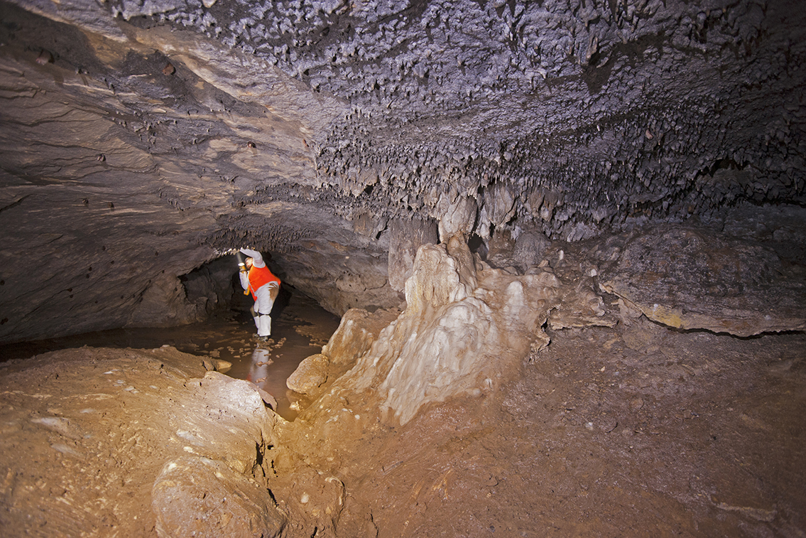 Caves Where Bats Live