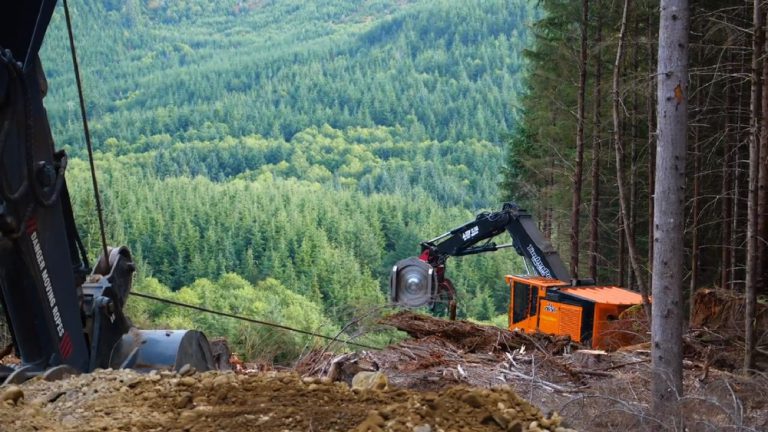 Winch-Assisted Logging Boosts Safety on Steep Terrain | Rayonier Stories