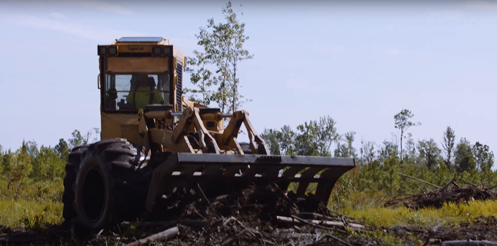 Site Prep Essential for Southeastern Forestry | Rayonier Stories