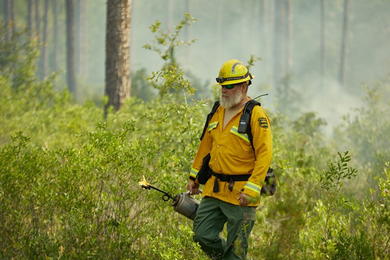 florida forestry teachers tour