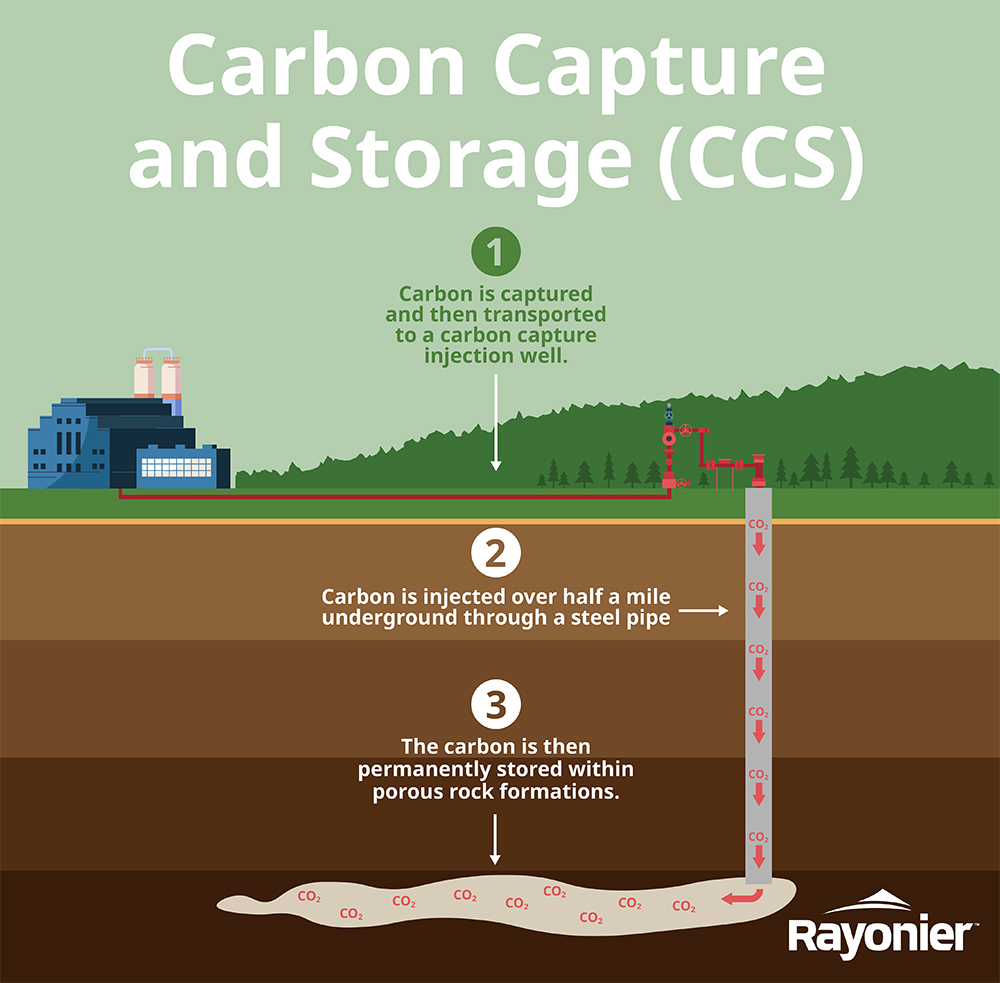 Infographic: Carbon Capture & Storage (CCS). 1 Carbon is captured and then transported to a carbon capture injection well. 2. Carbon is injected over half a mile underground through a steel pipe. 3. The carbon is then permanently stored within porous rock formations.